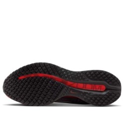 Nike Pegasus Premium - Marathoniens Confort Performance Longues Distances